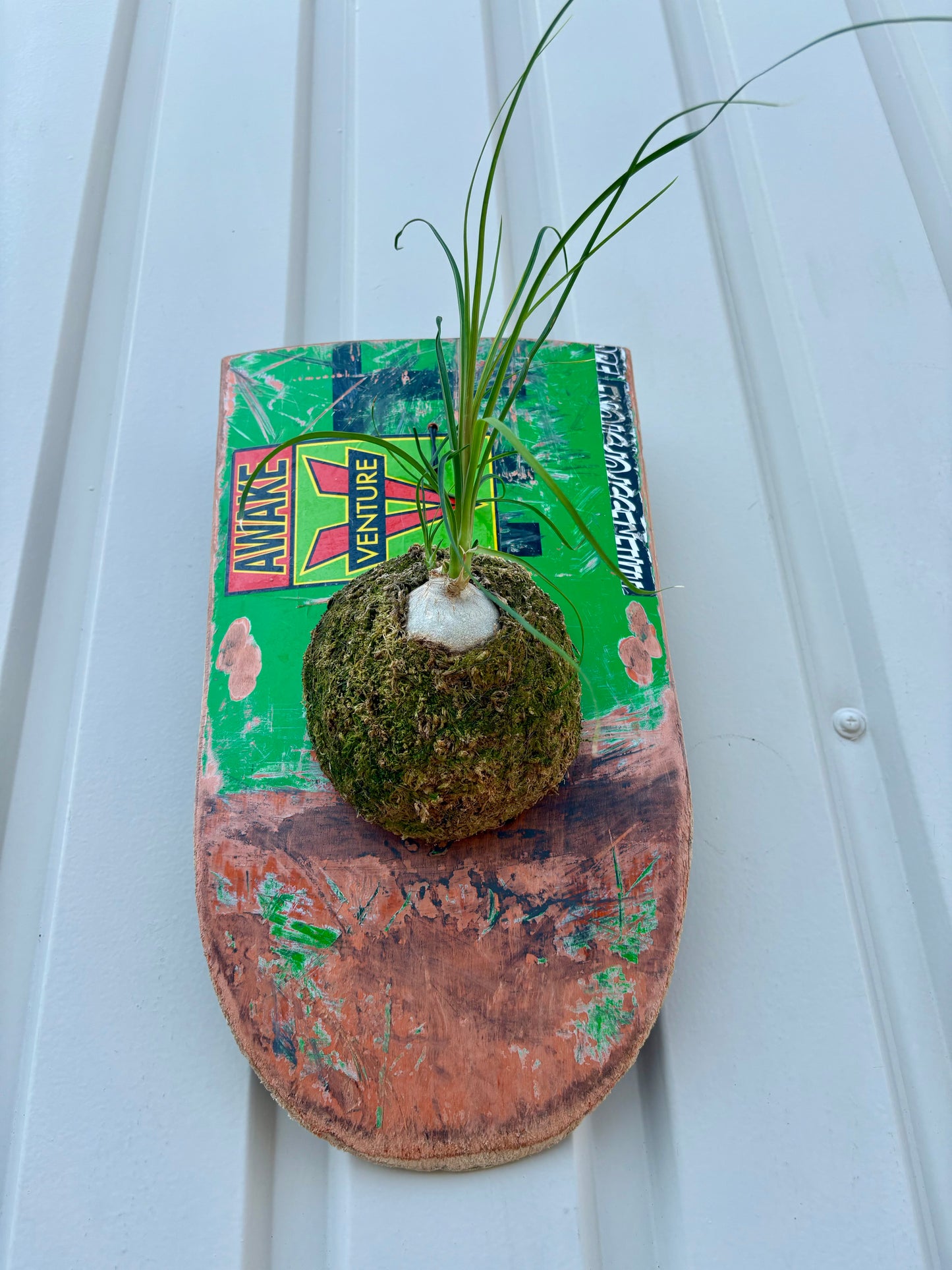 部屋や店舗の壁面に飾れるPLUQEのITAZUKE Live作品