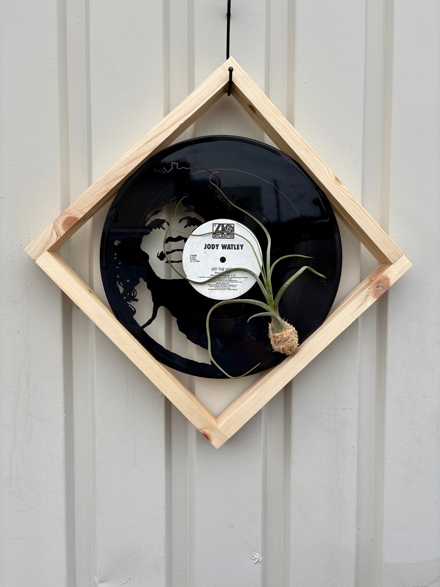Tillandsia in LP size frame SINGER - 2