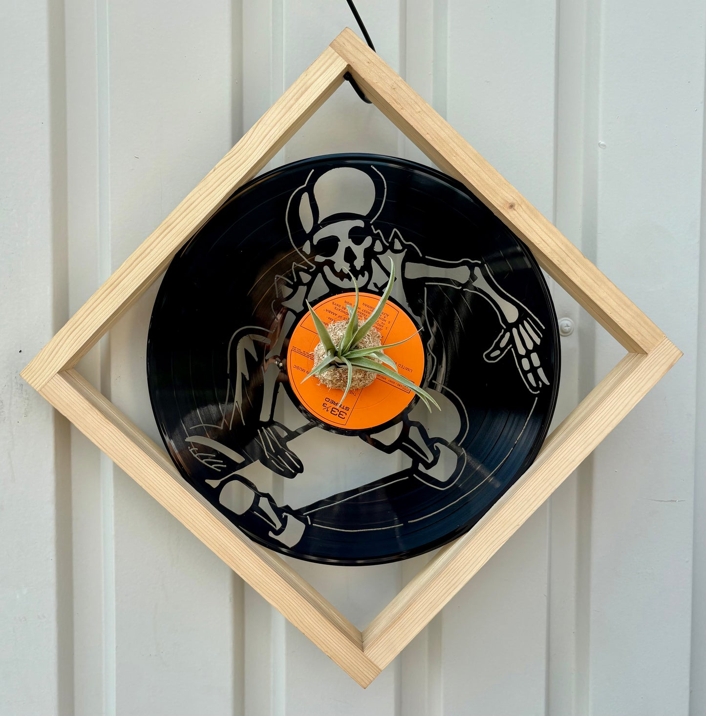 Tillandsia in LP size frame Bone skater