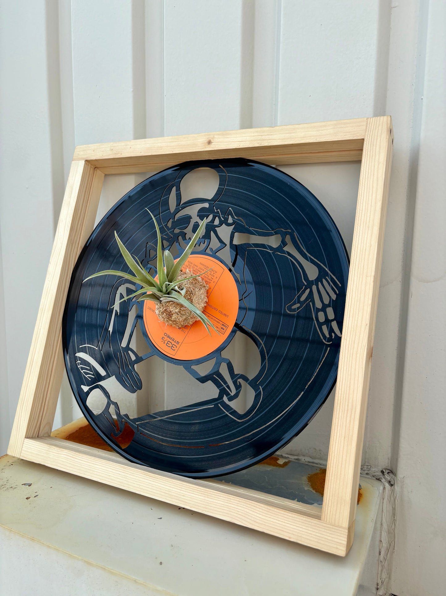 Tillandsia in LP size frame Bone skater