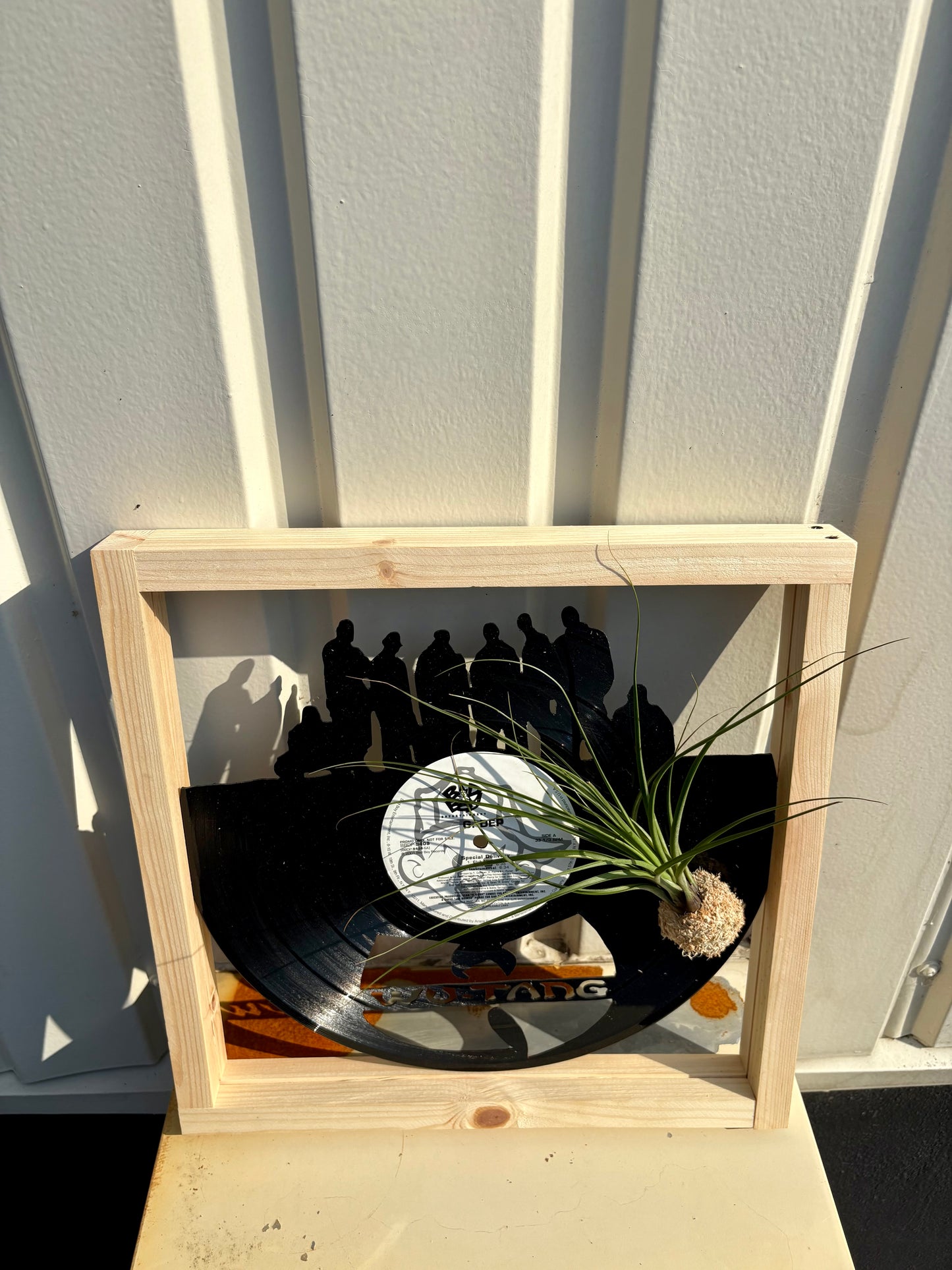 Tillandsia in LP size frame WU - TANG