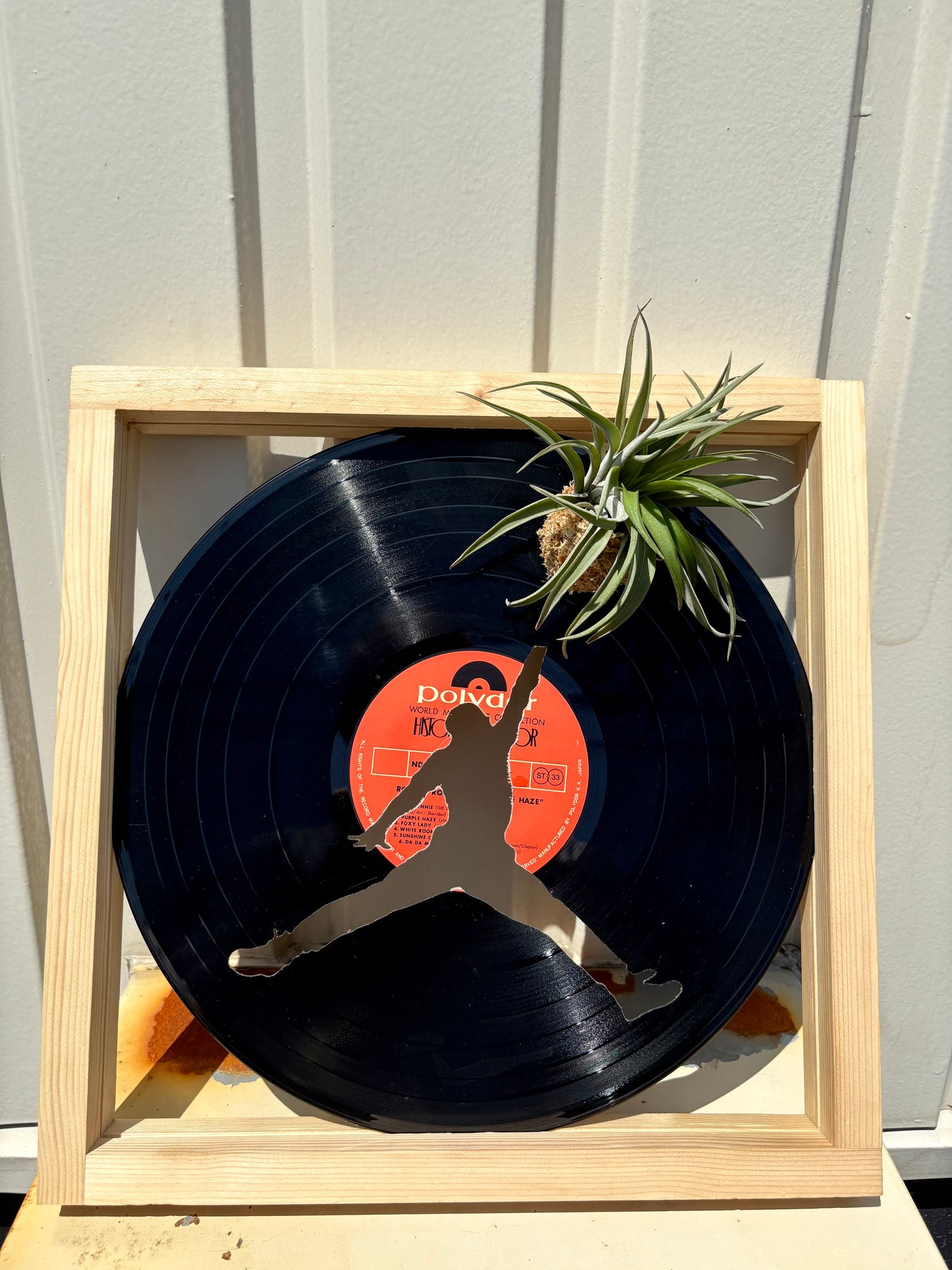 Tillandsia in LP size frame G.O.A.T