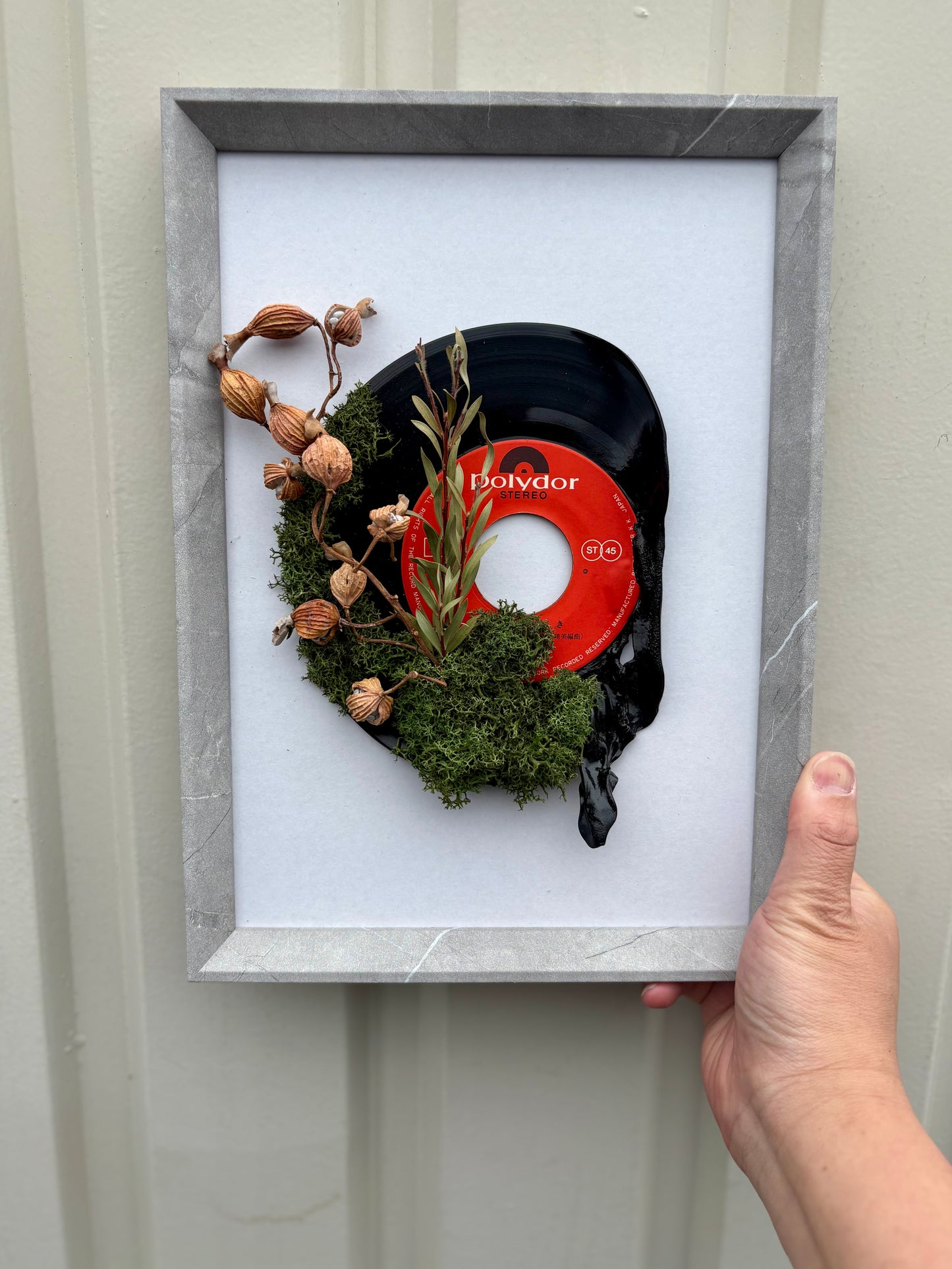 壁や棚に飾れるレコードとモスの植物装飾