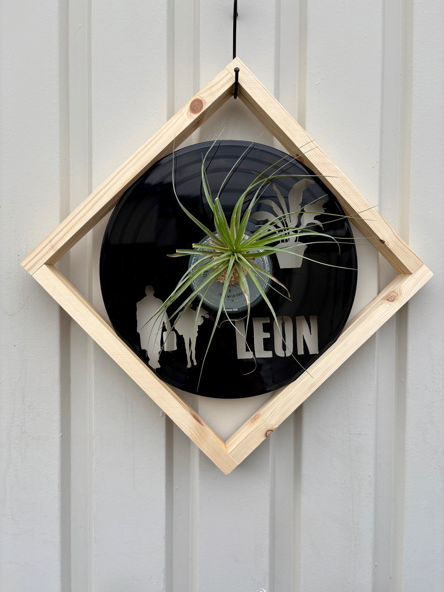 TIllandsia in LP size MOVIE - 1