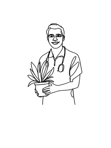 REPAIR　植物の付け直し
