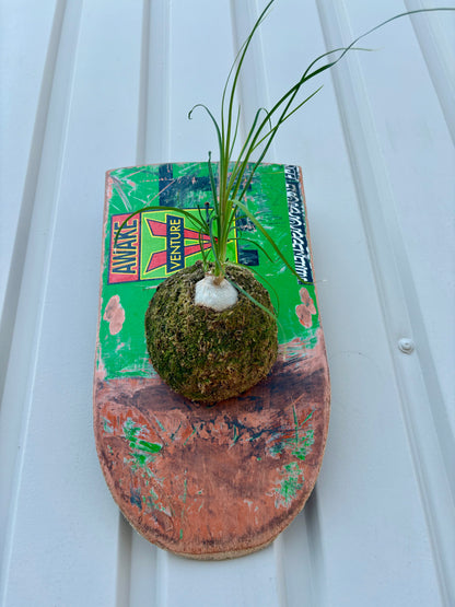部屋や店舗の壁面に飾れるPLUQEのITAZUKE Live作品
