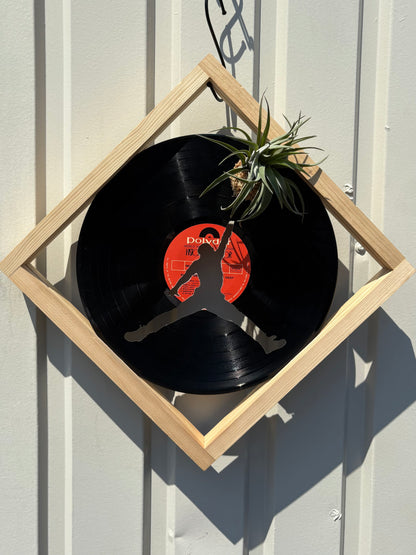 Tillandsia in LP size frame G.O.A.T