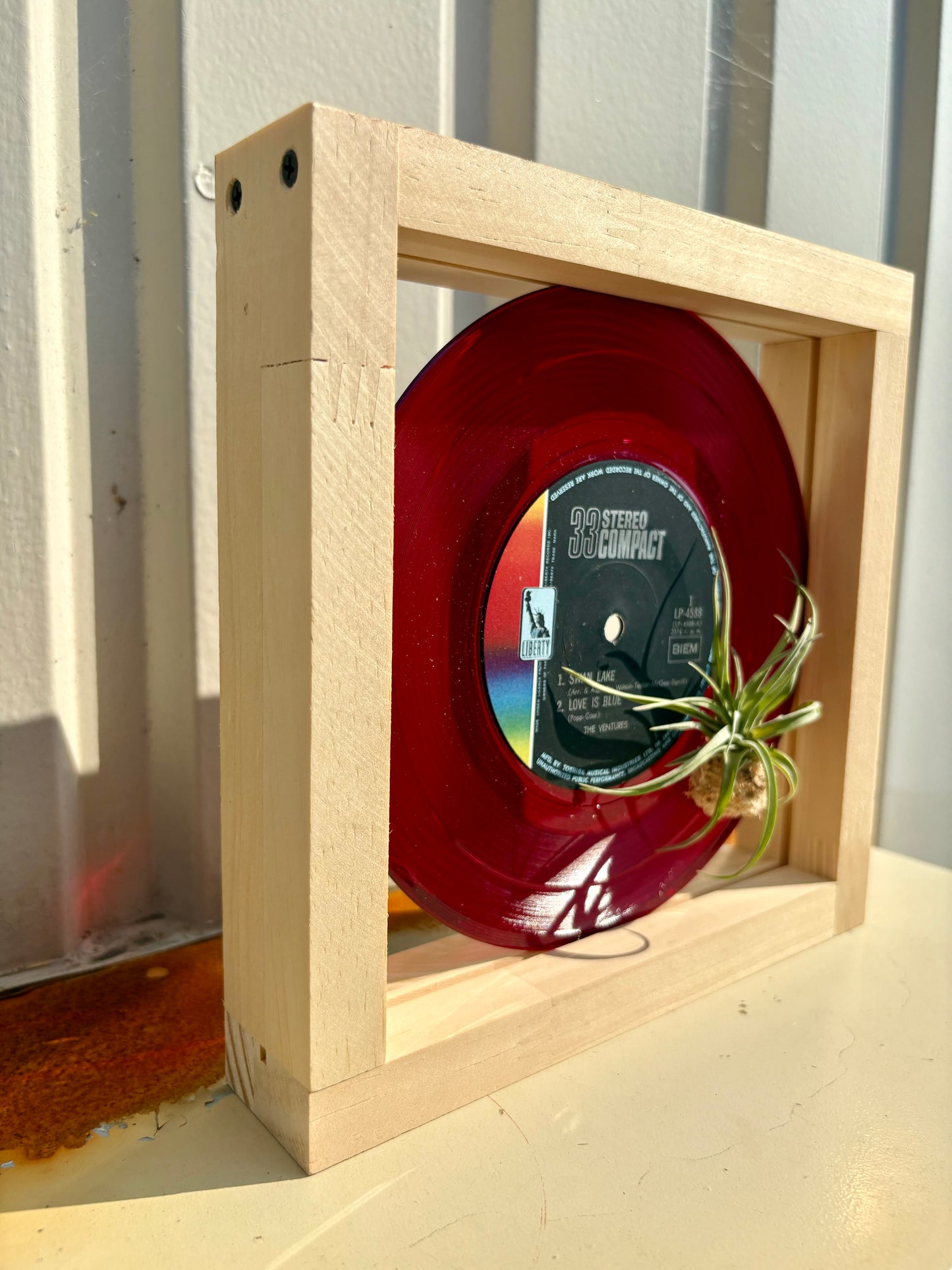Tillandsia in EP size frame -1