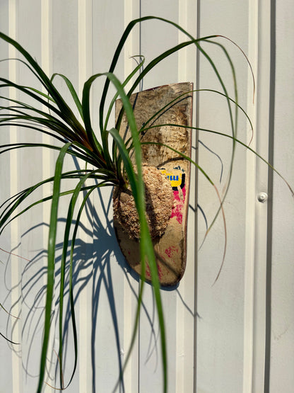 Ponytail palmを使用した壁掛け植物作品の質感