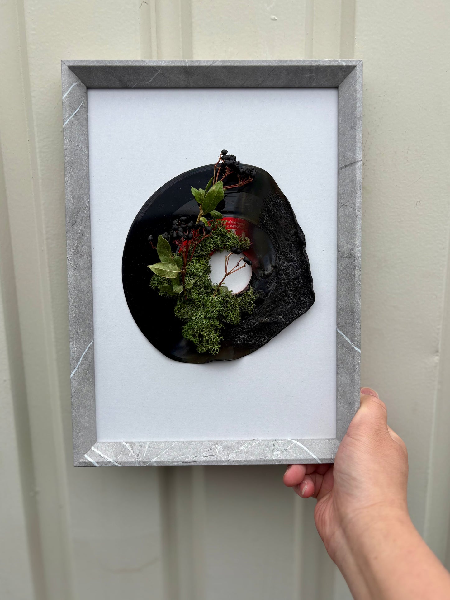 壁や棚に飾れるレコードとモスの植物装飾