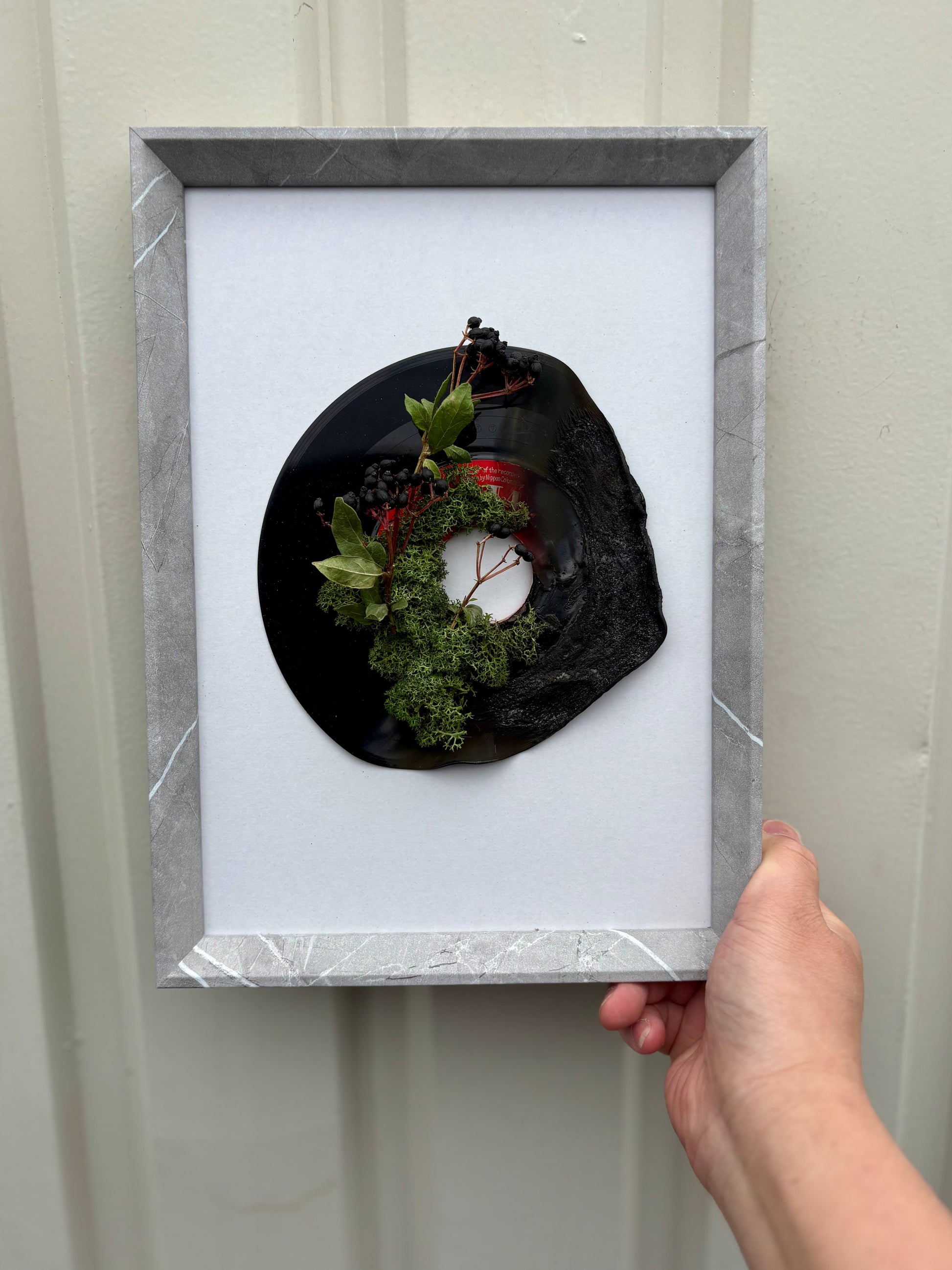 壁や棚に飾れるレコードとモスの植物装飾