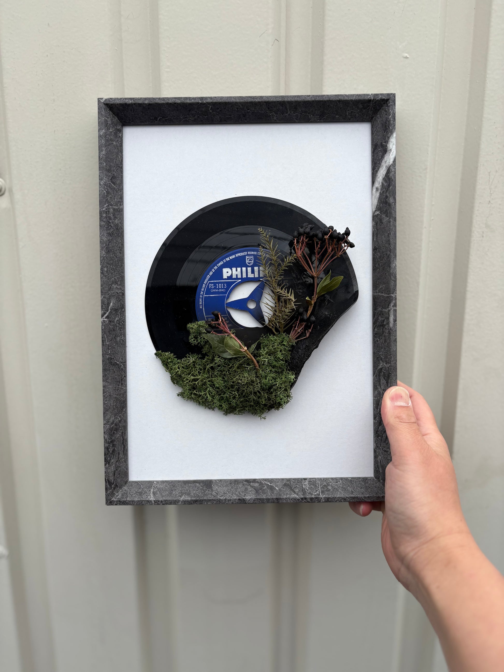 壁や棚に飾れるレコードとモスの植物装飾