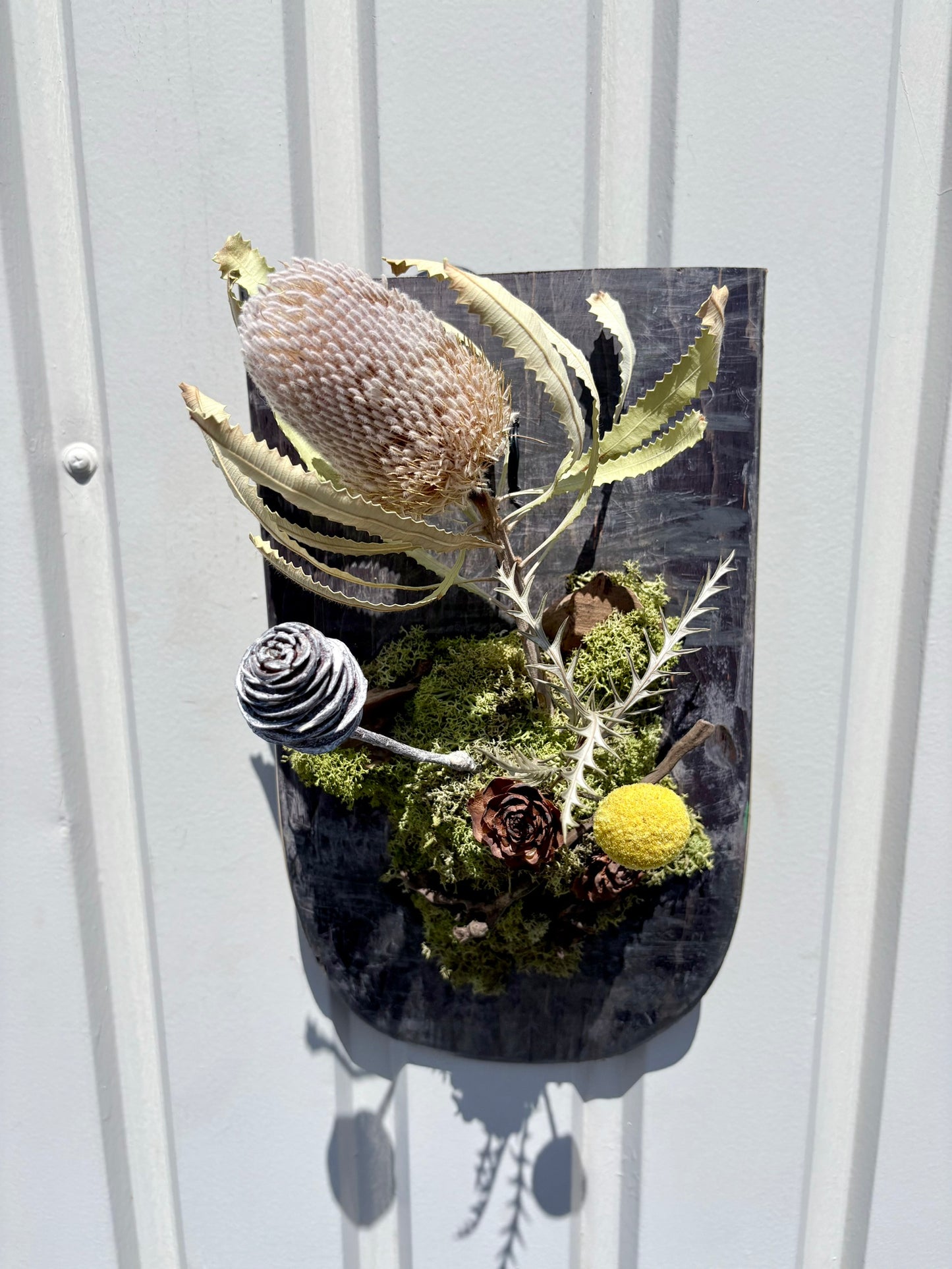 ITAZUKE Dry - Banksia Moss #05