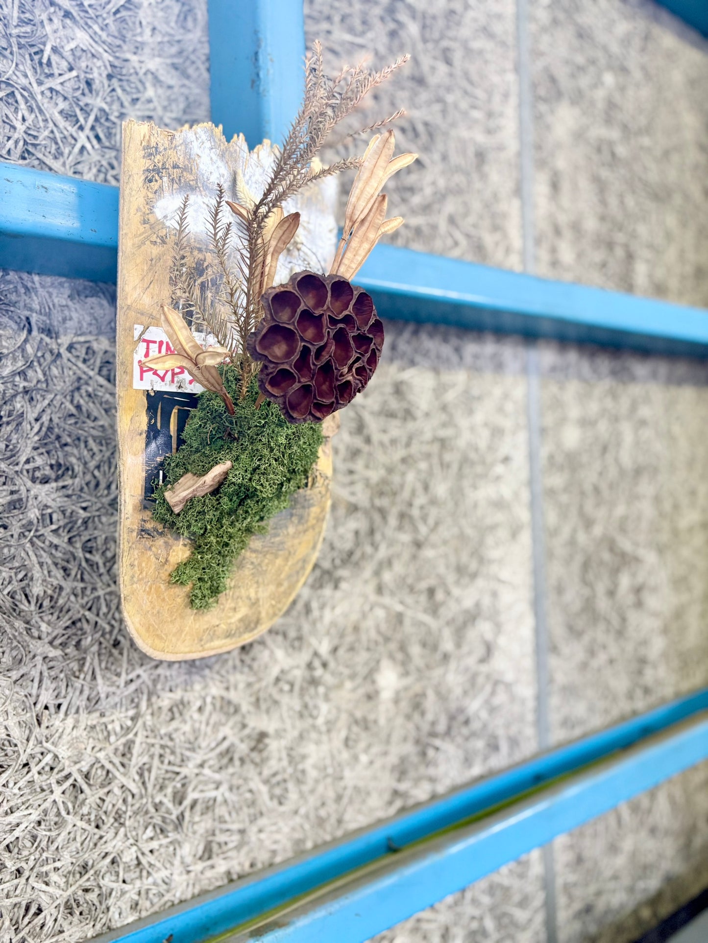 ITAZUKE Dry - Lotus Moss #03