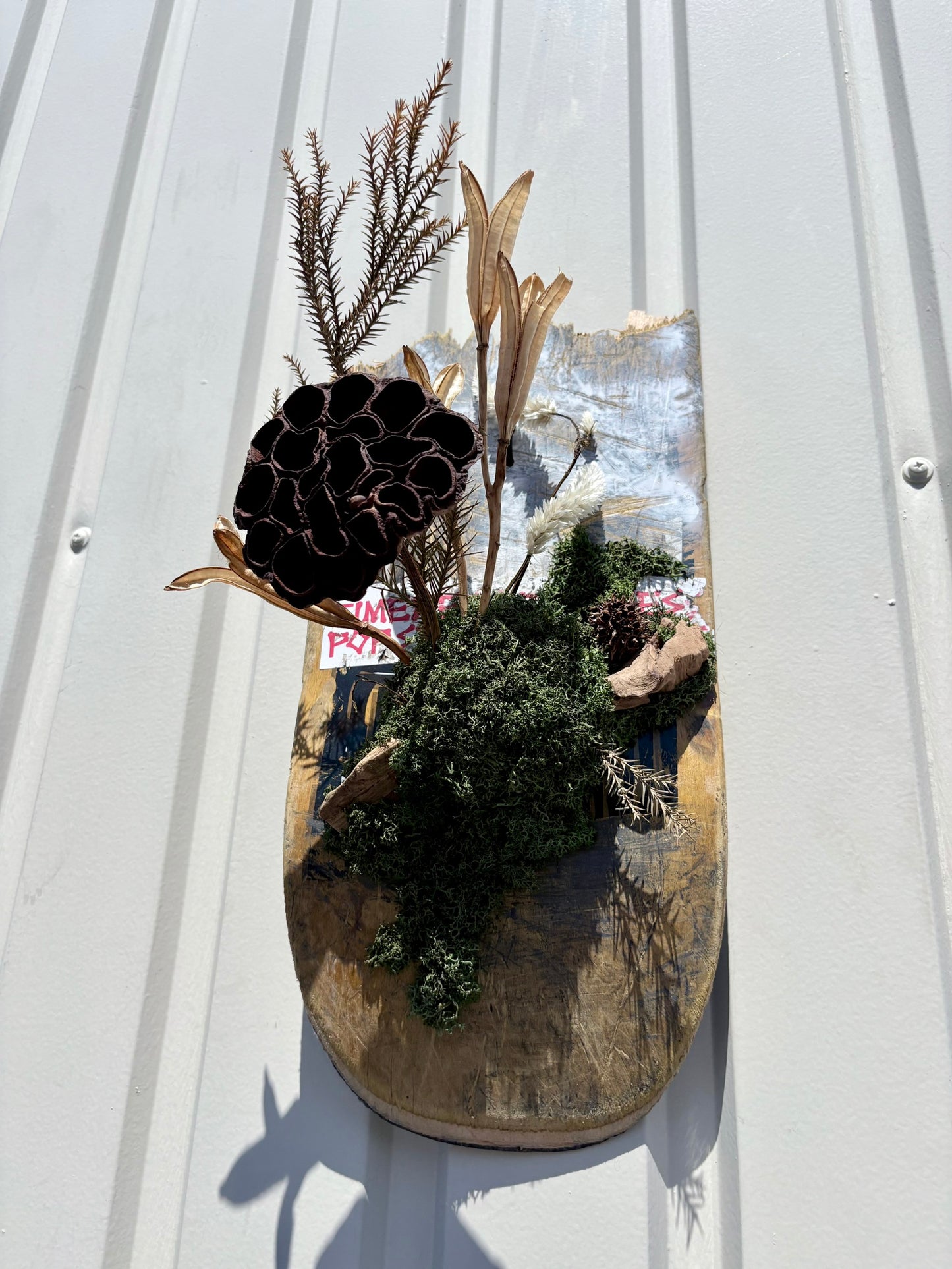 ITAZUKE Dry - Lotus Moss #03