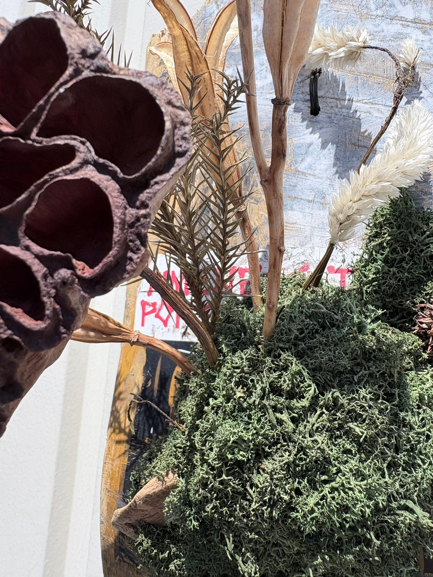 ITAZUKE Dry - Lotus Moss #03