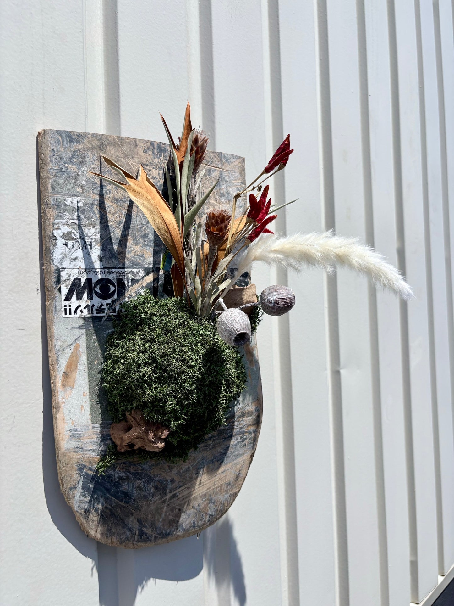 ITAZUKE Dry - Peppar Moss #02