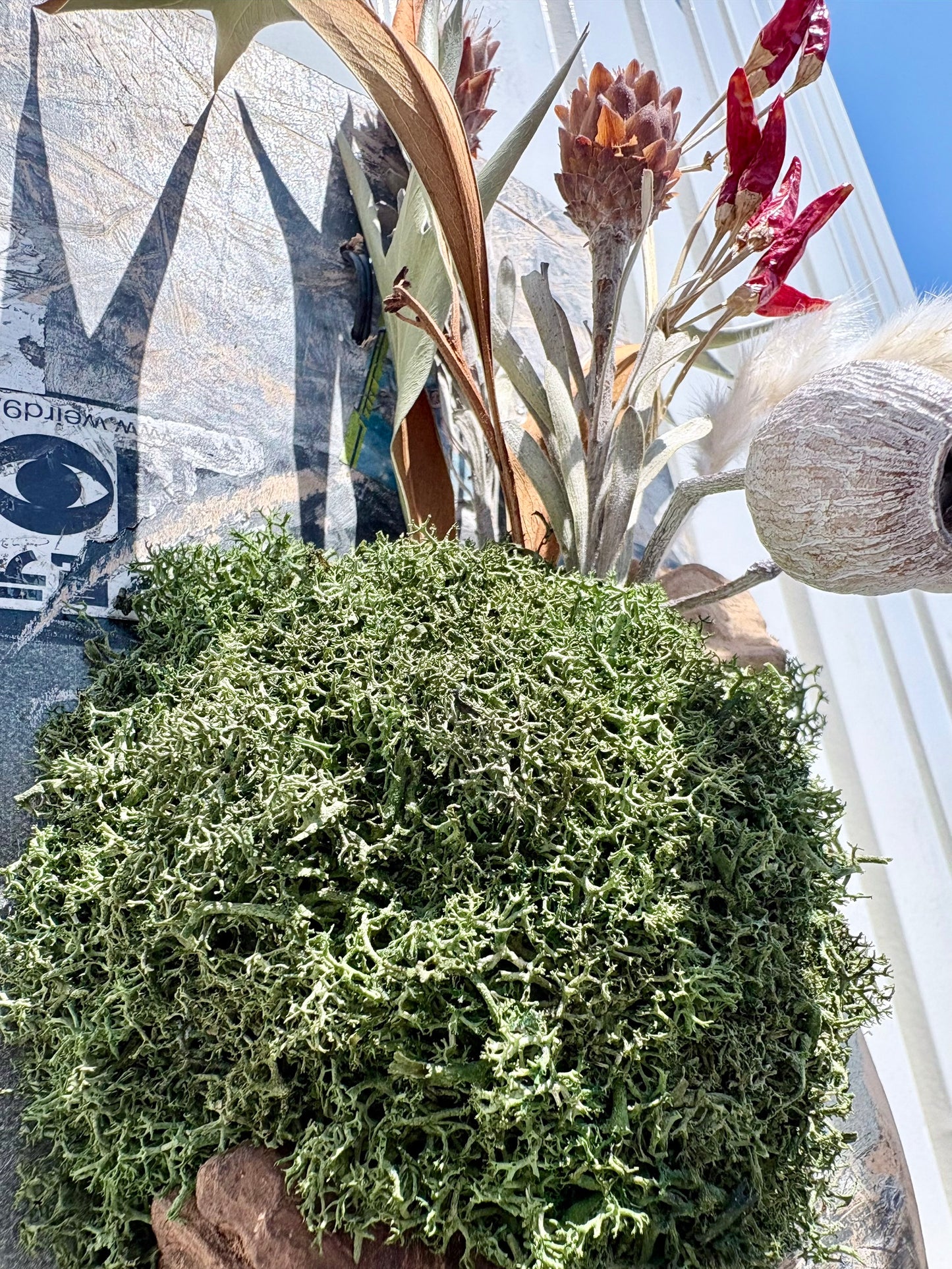 ITAZUKE Dry - Peppar Moss #02