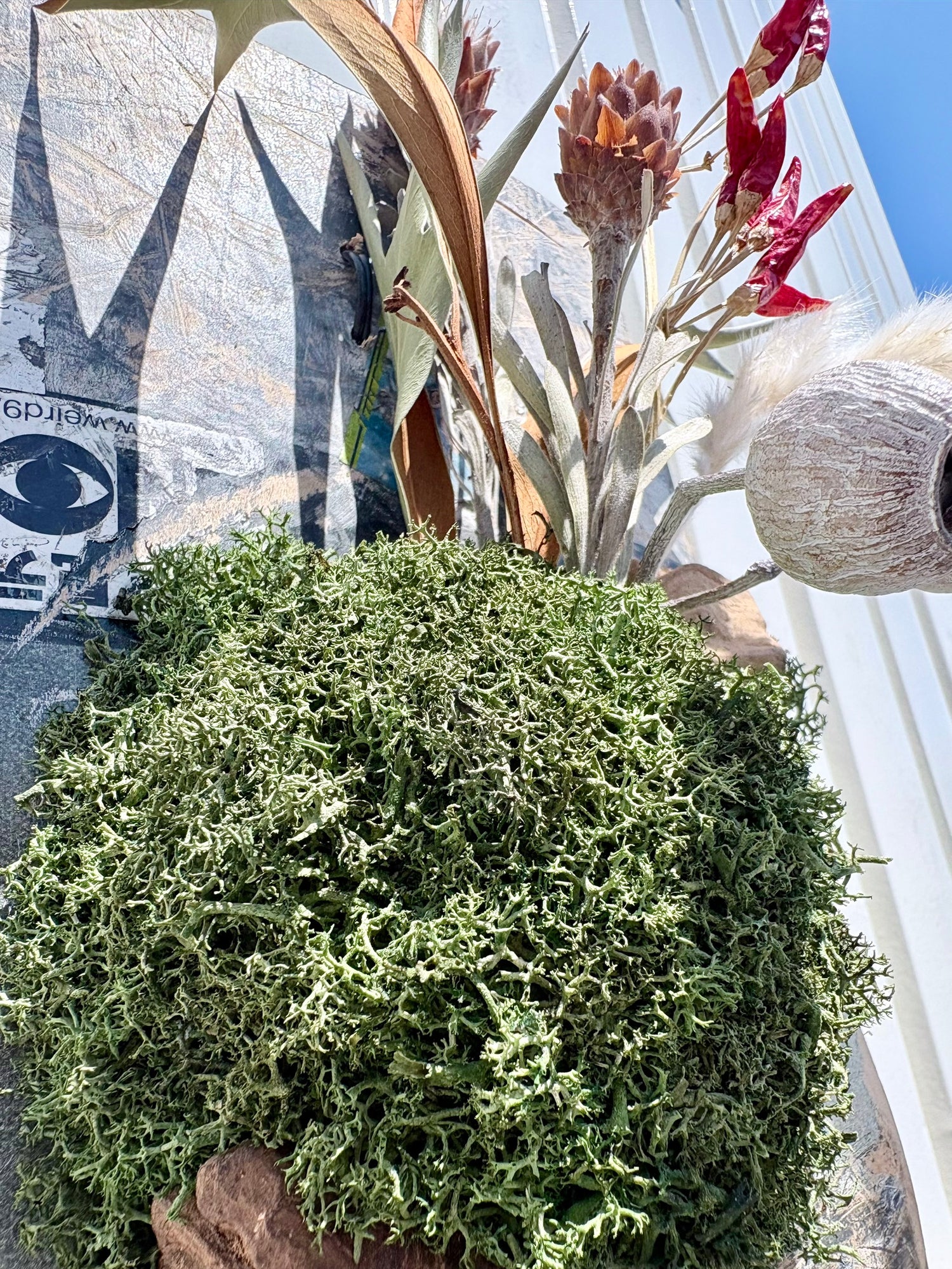 スケートデッキにドライ素材を合わせたITAZUKE DRY Peppar Moss #02