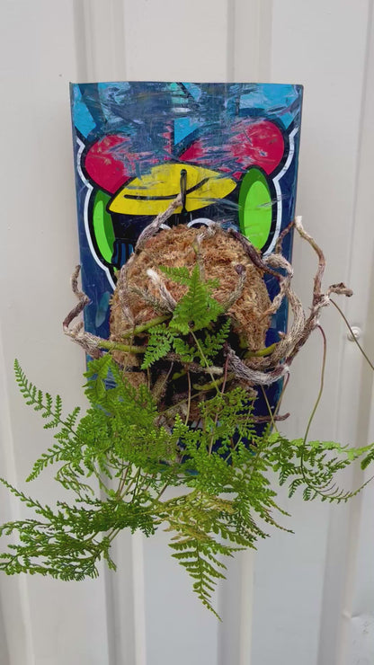 Humata tyermanii