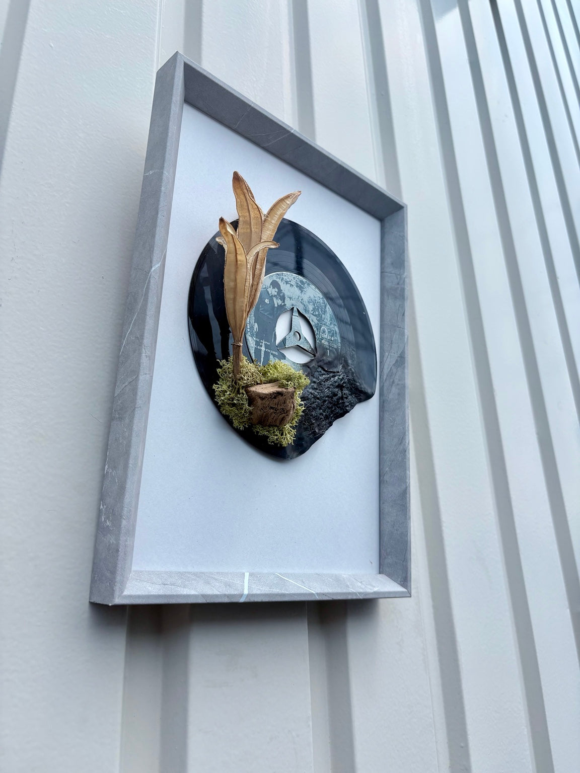 水やり不要で飾れる小さな植物装飾 RECOMOSS No.007